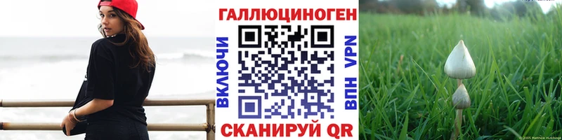 Псилоцибиновые грибы GOLDEN TEACHER  купить наркотик  Лесозаводск 