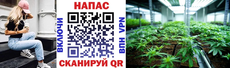 где продают   Лесозаводск  Бошки марихуана планчик 